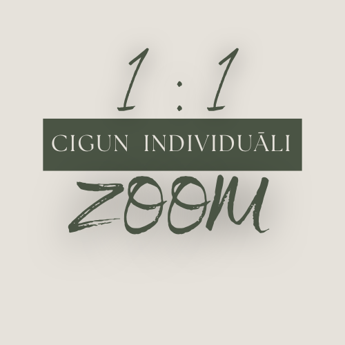 Individuālā nodarbība_Zoom